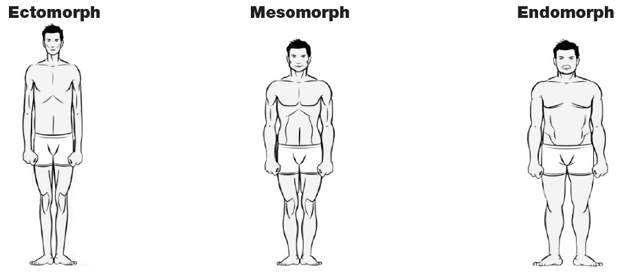 What body type are you?