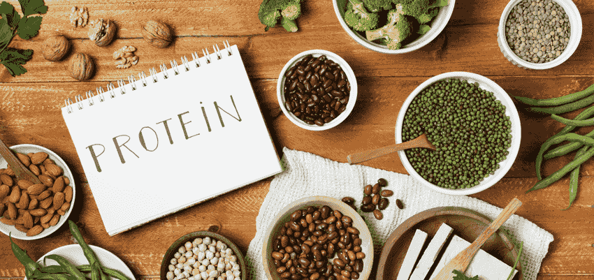 Dairy-Free Protein: Benefits, Costs & More | ApexVita Magazine