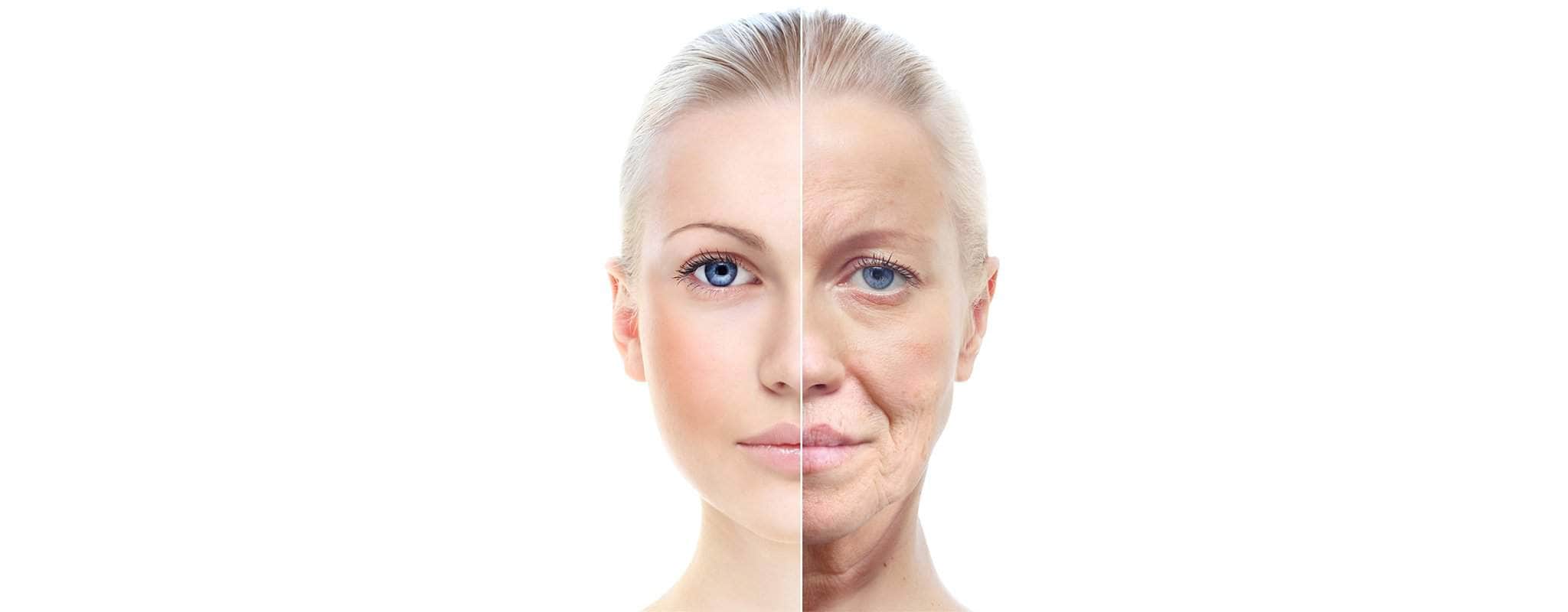 Collagen, Joints & Skin - What You Need to Know