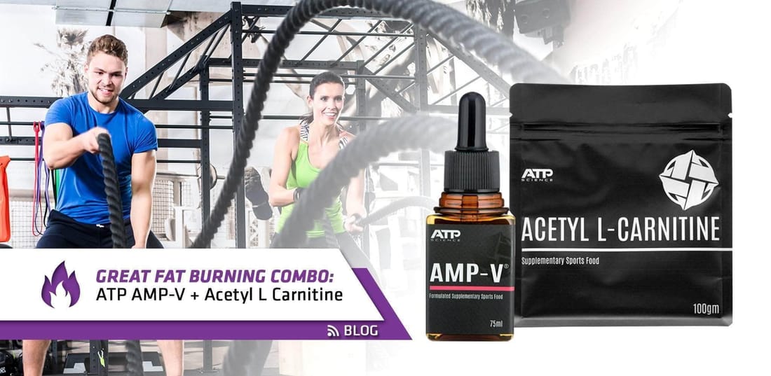 Amp-V and Acetyl L-Carnitine: A Popular Pre-Workout Stack Explained