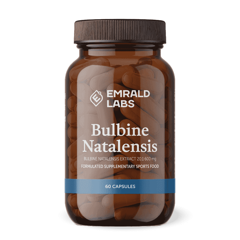 Bulbine Natalensis