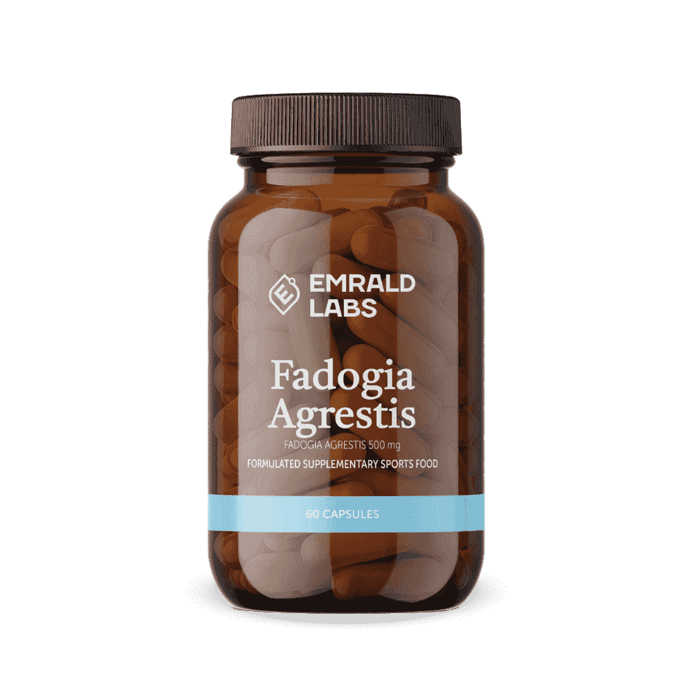 Fadogia Agrestis